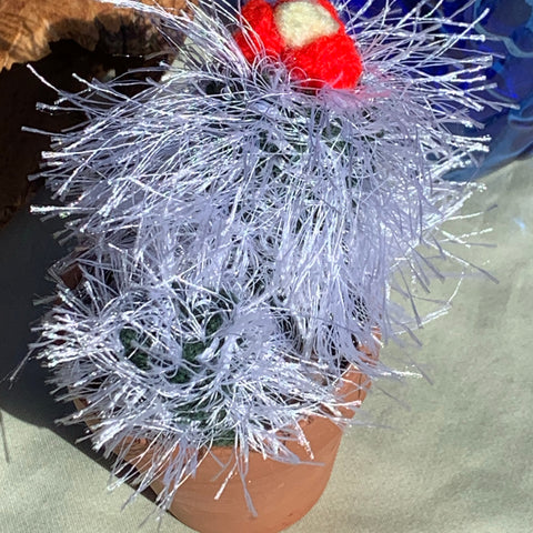 Pair of knit Old Man Cacti